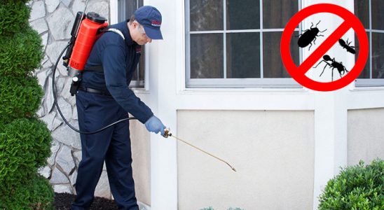 Şaphane Fare İlaçlama böcek ilaçlama ve haşere kontrolü — ilaclama-tr.com